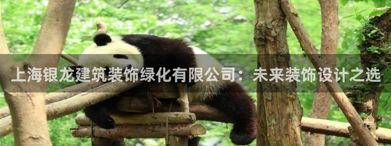 娱乐新航标