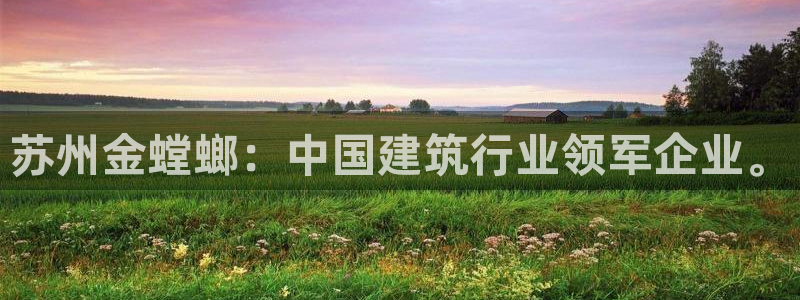新航娱乐官网地址