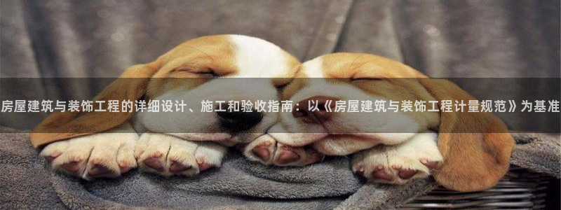 新航娱乐公司简介图片