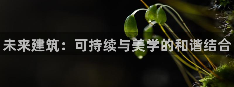 新航机上娱乐