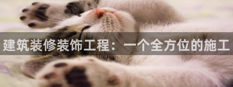 新航娱乐有限公司