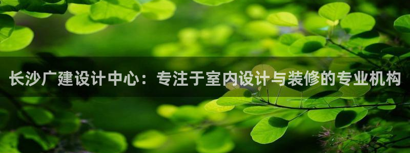 新航文化娱乐传媒