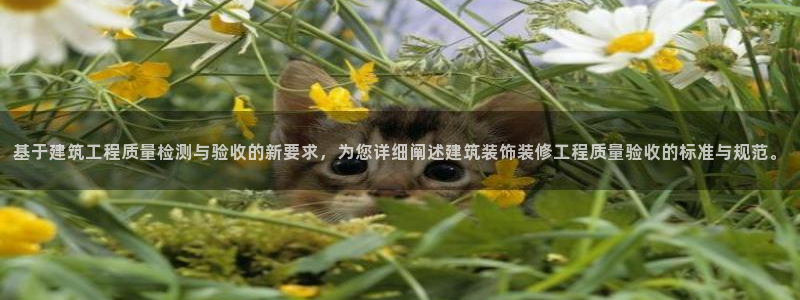 新航娱乐传媒招聘电话